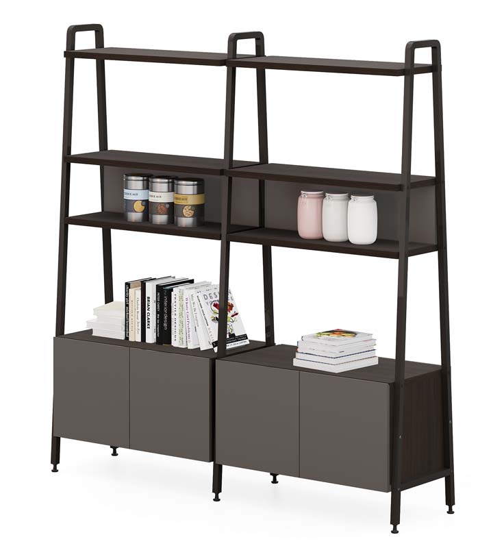 Double Bay Ladder Bookshelf with Lower Closed Storage