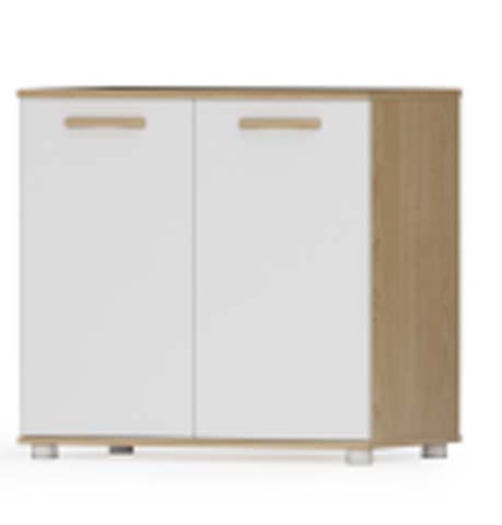 Two-Tone Freestanding Double-Door Storage Cabinet