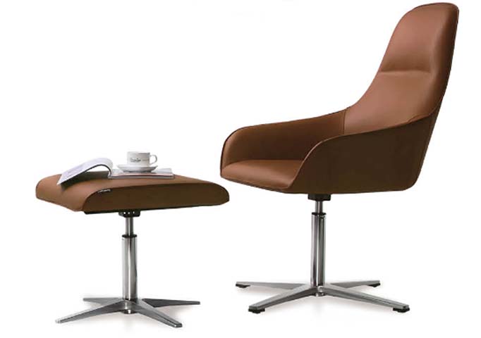 Swivel Lounge Chair with Matching Height-Adjustable Ottoman