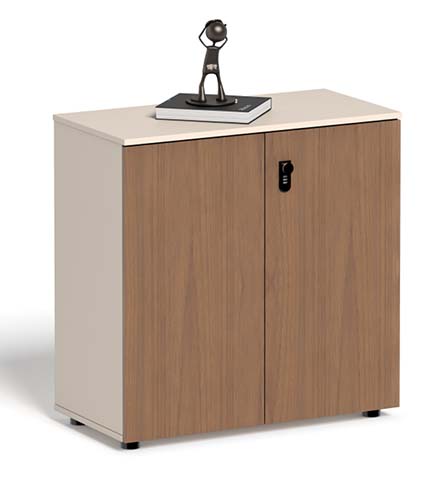 Compact Lockable Double-Door Office Storage Cabinet
