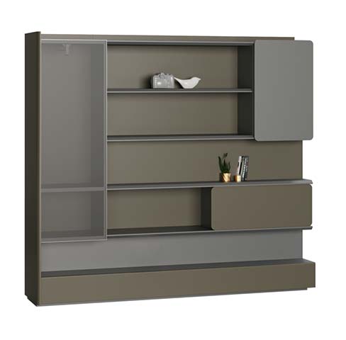 Modern Multi-Storage Display Cabinet with Glass Door