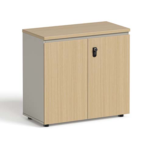 Low Lockable Two-Door Office Storage Cabinet