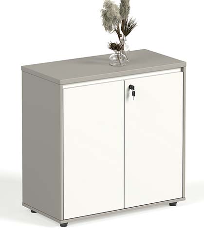 Low Lockable Two-Door Office Storage Cabinet