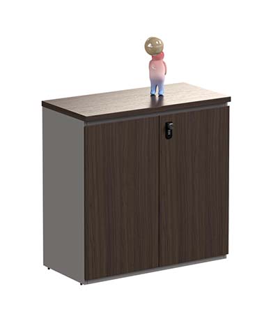 Dark Ribbed Two-Door Lockable Office Storage Cabinet
