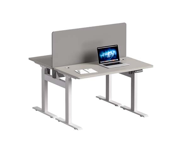 Back-to-Back Two-Person Height-Adjustable Workstation with Central Divider Screen