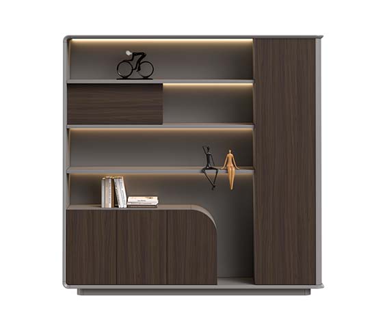 Contemporary Open Display Storage Cabinet with Integrated LED Shelves and Tall Side Door