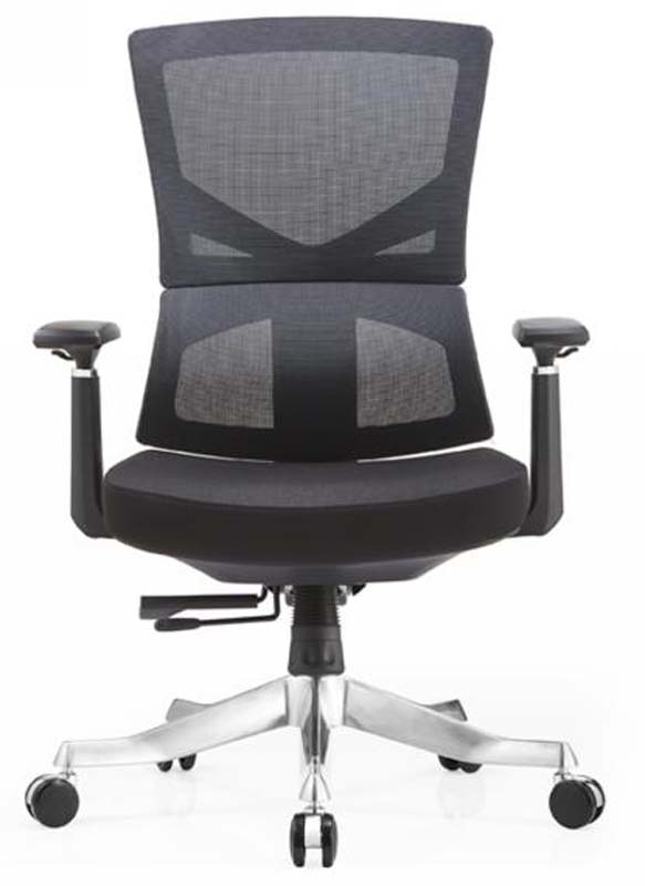 Black Mesh Ergonomic Task Chair with Adjustable Arms and Polished Aluminum Base