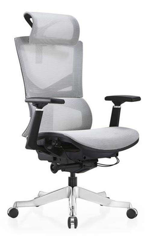 High-Back Ergonomic Mesh Office Chair with Headrest