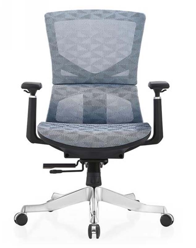 Mid-Back Mesh Ergonomic Task Chair with Polished Aluminum Base