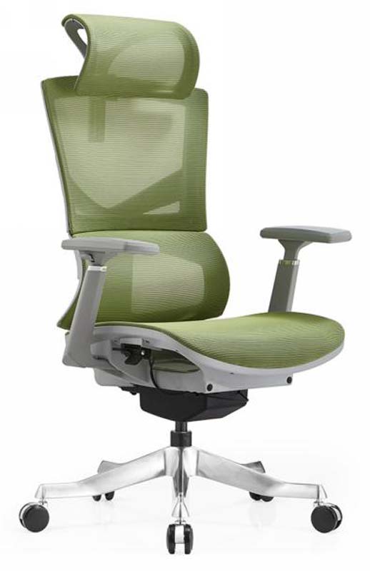 High-Back Mesh Ergonomic Office Chair with Headrest