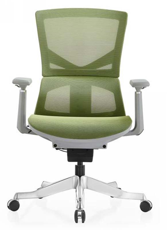 Green Mesh Ergonomic Task Chair with Polished Aluminum Base