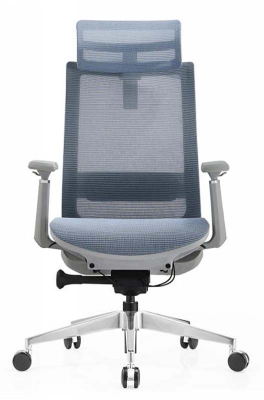 High-Back Mesh Ergonomic Office Chair with Headrest and Silver Five-Star Base