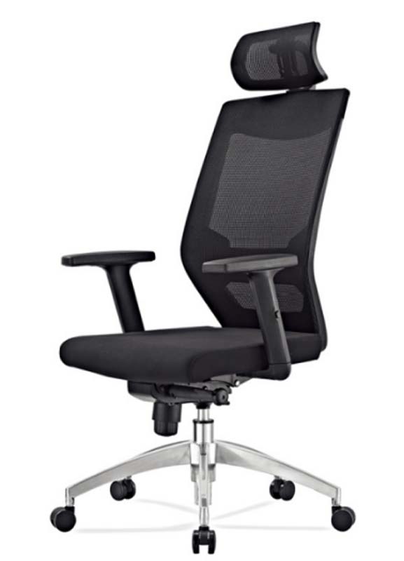 High-Back Ergonomic Mesh Office Chair with Headrest