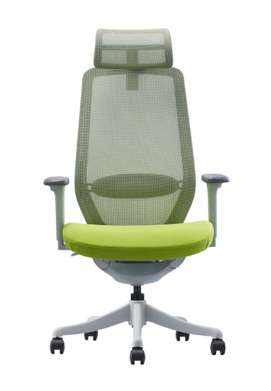 High-Back Mesh Ergonomic Office Chair with Headrest and Adjustable Arms