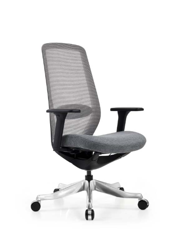 High-Back Mesh Ergonomic Office Chair with Fixed Armrests and Polished Aluminum Base