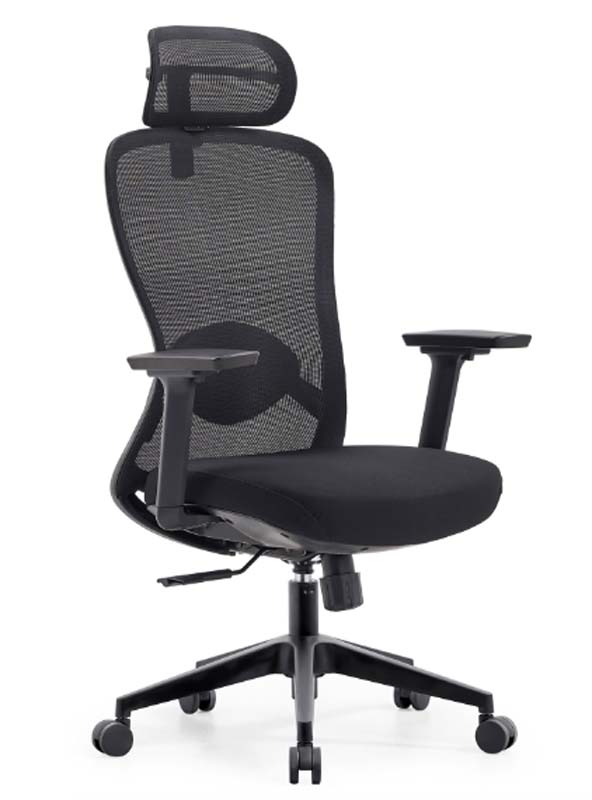 Black Mesh High-Back Ergonomic Office Chair with Headrest and Adjustable Arms