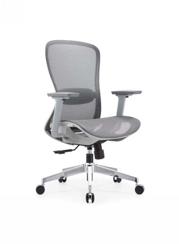 Gray Mesh Ergonomic Office Chair with Height-Adjustable Arms and Polished Aluminum Base