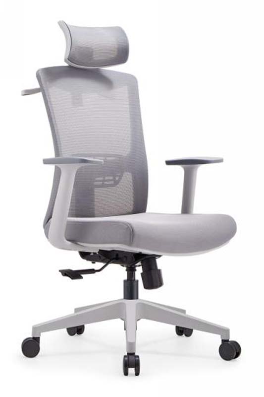Gray Mesh Ergonomic Office Chair with Headrest and Adjustable Arms