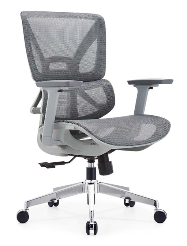 Gray Mesh Ergonomic Task Chair with Polymer Shell and Chrome Five-Star Base