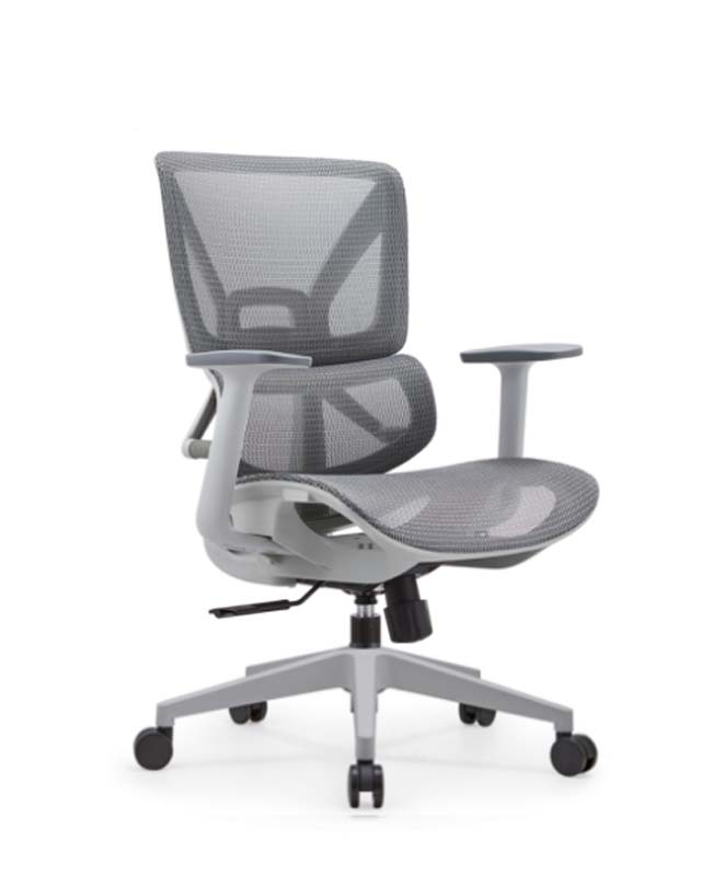 Gray Mesh Ergonomic Office Chair with Fixed Armrests and Five-Star Base