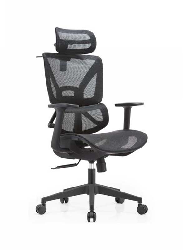 High-Back Mesh Ergonomic Office Chair with Adjustable Headrest and Lumbar Support