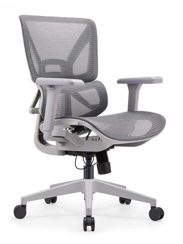 Grey Mesh Ergonomic Task Chair with Lumbar Cushion and Height-Adjustable Arms