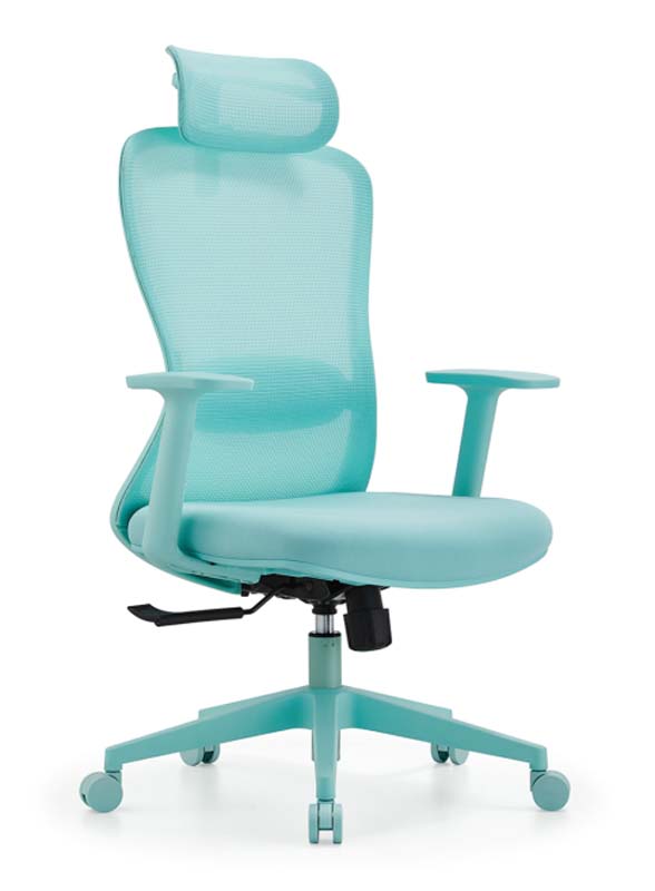 High-Back Mesh Ergonomic Office Chair with Headrest